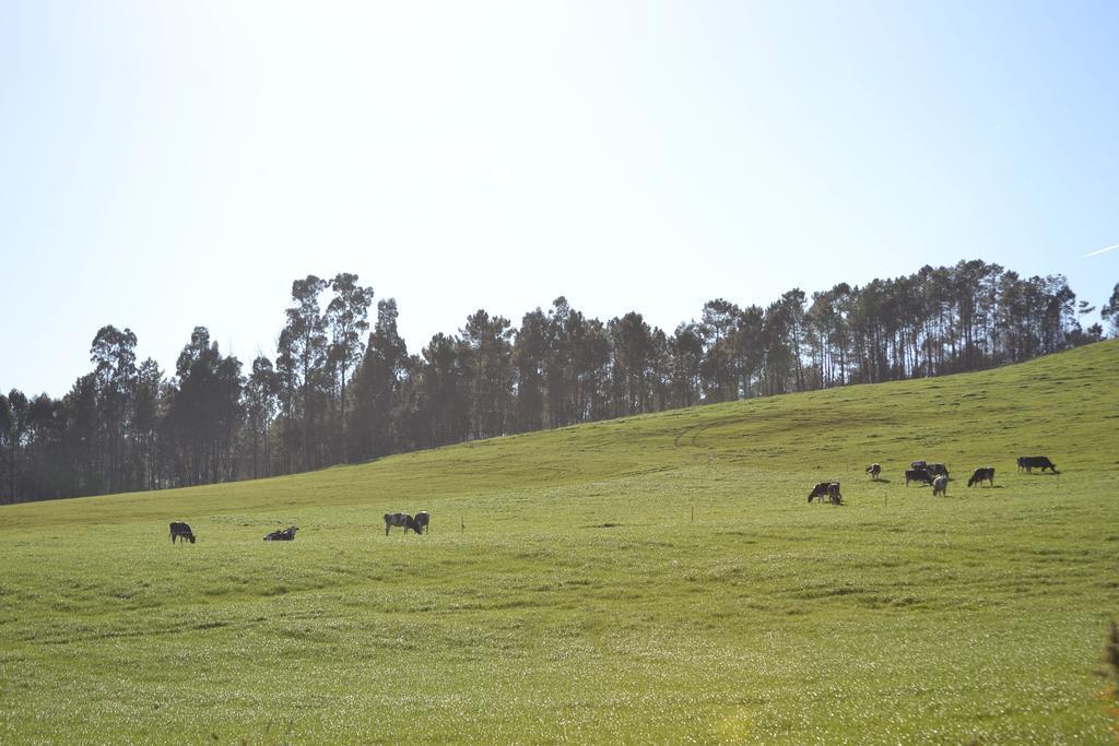 Vila Peregrina Castaneda  Luaran gambar